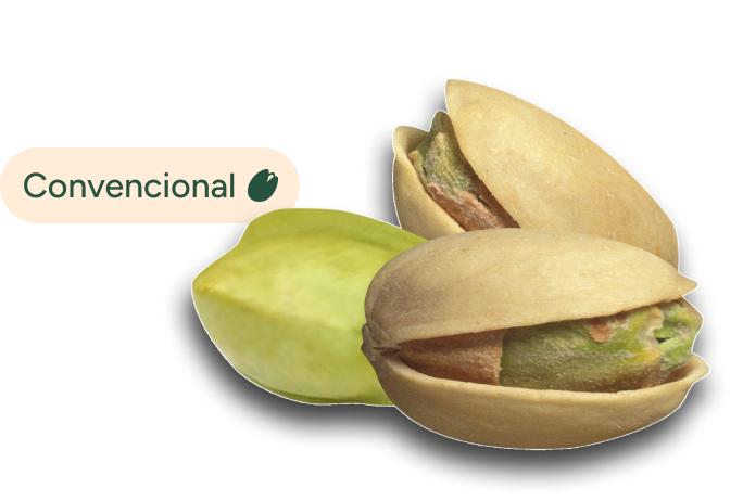Pistachos