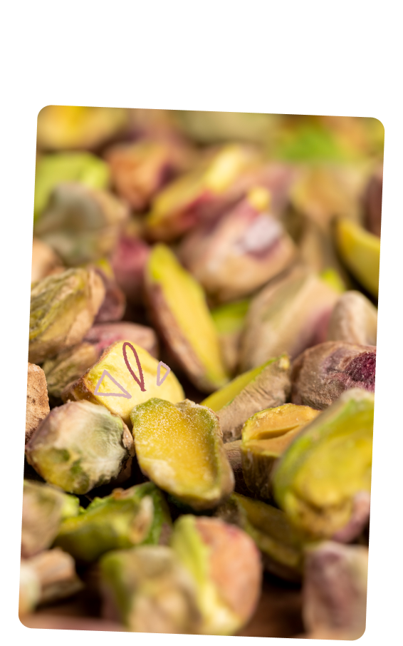 Productores y Procesadores de Pistacho